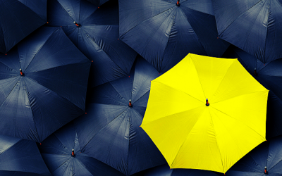 The different kinds of protection –Do you need them or are they just an extra expense?